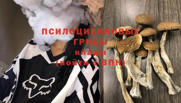 каннабис Новодвинск