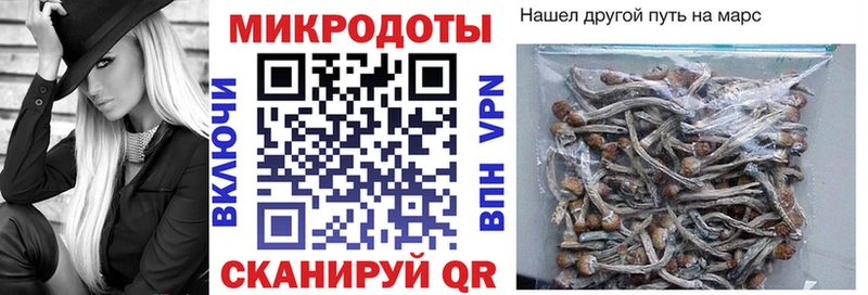 Галлюциногенные грибы MAGIC MUSHROOMS  закладка  Тобольск 
